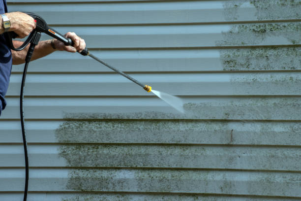 Best Solar Panel Cleaning  in Monrovia, IN